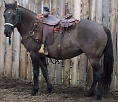 MandyrpOct_2010