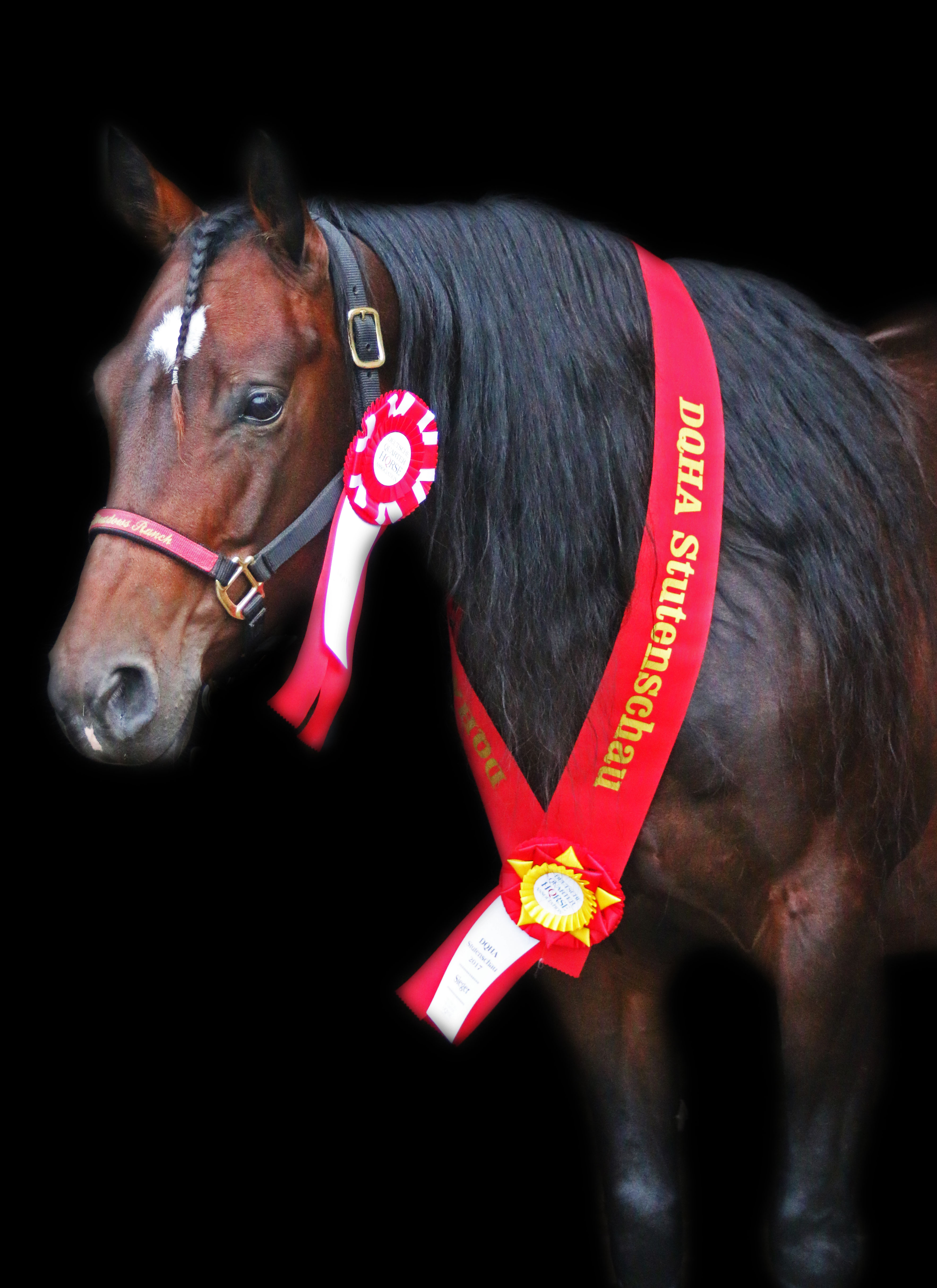 grace-stutenschau-02