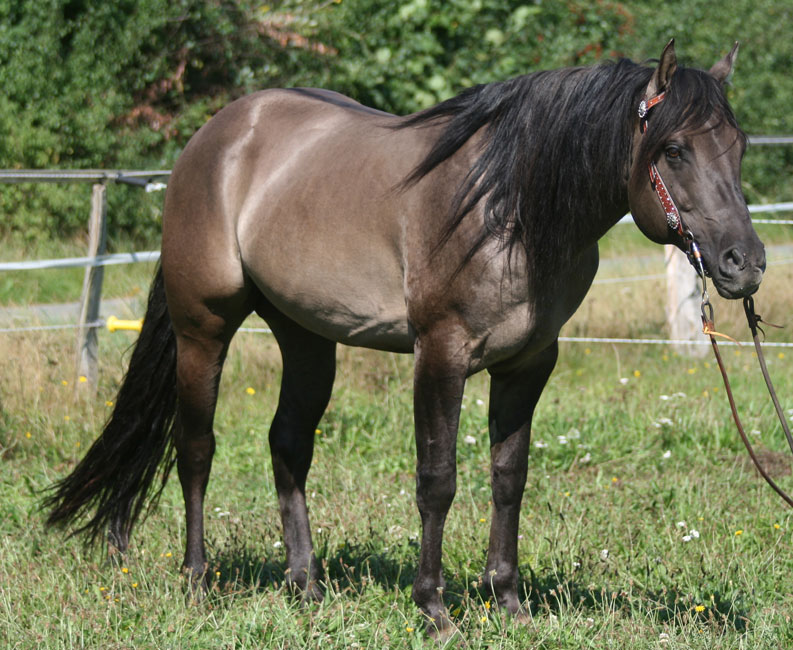 rocky09.2013-1