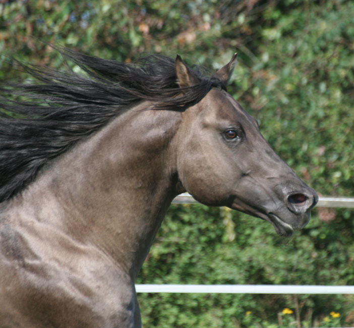 rocky09.2013-2