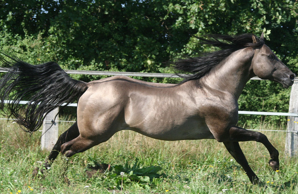 rocky09.2013-4