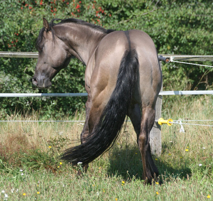 rocky09.2013-5