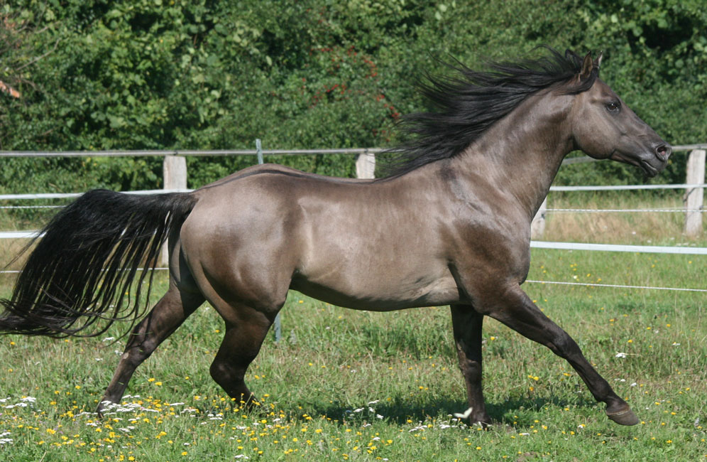 rocky09.2013-6