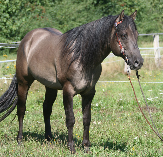 rocky09.2013-8
